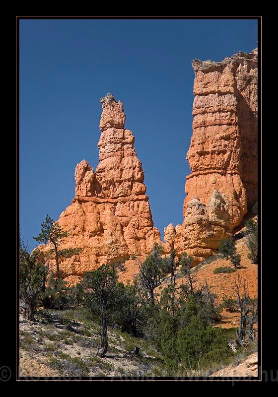 Red Canyon 09.jpg